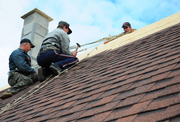 Professional Roofing Contractor in Deer Park, TX